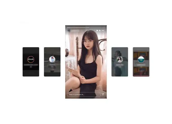 Instagram Story Downloader